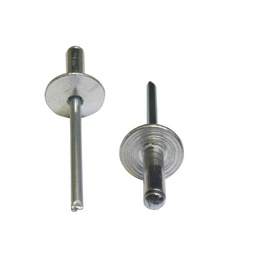[109-T5Z210] BLIND RIV ALM LRG FL 4.8X15MM           